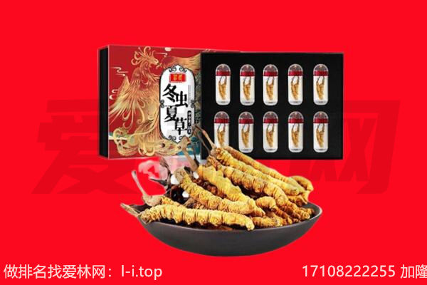 庆阳庆城县回收虫草.jpg